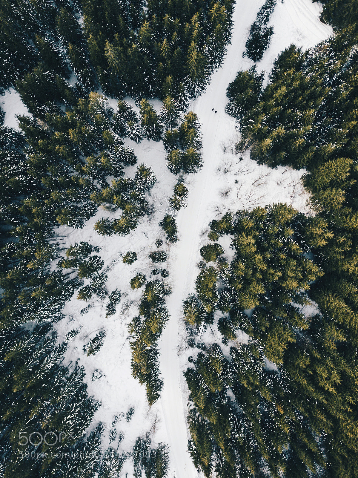 DJI FC220 sample photo. Untitled photography