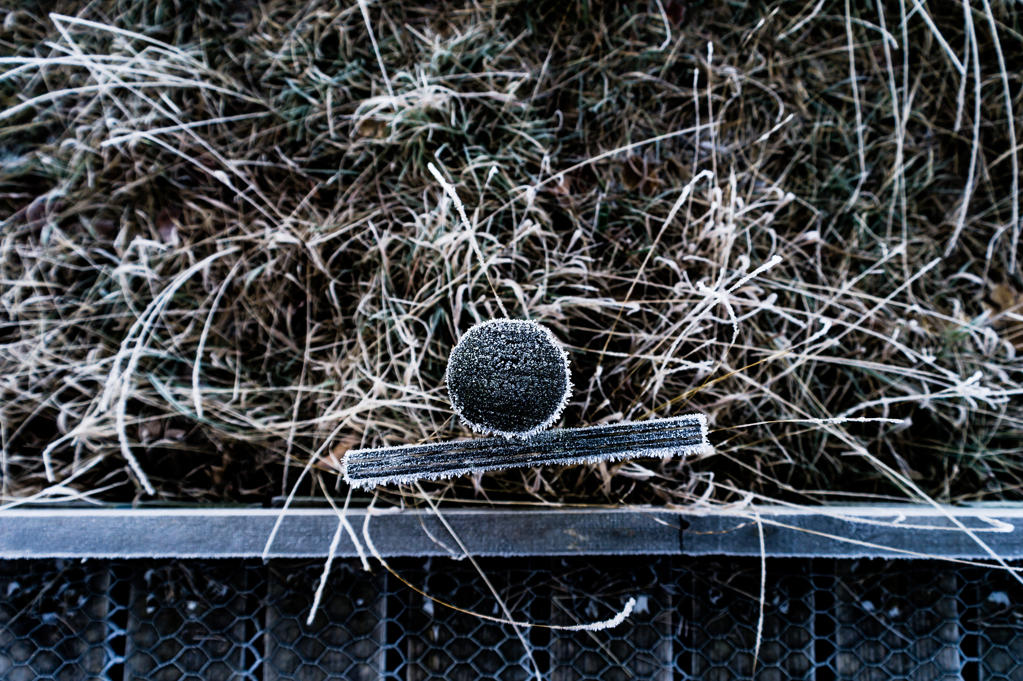 Samsung NX10 sample photo. Walkway photography