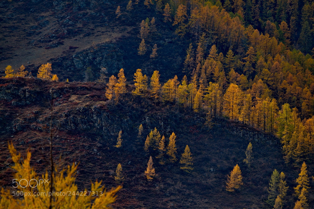 Fujifilm X-T1 sample photo. Russia. the beauty of photography