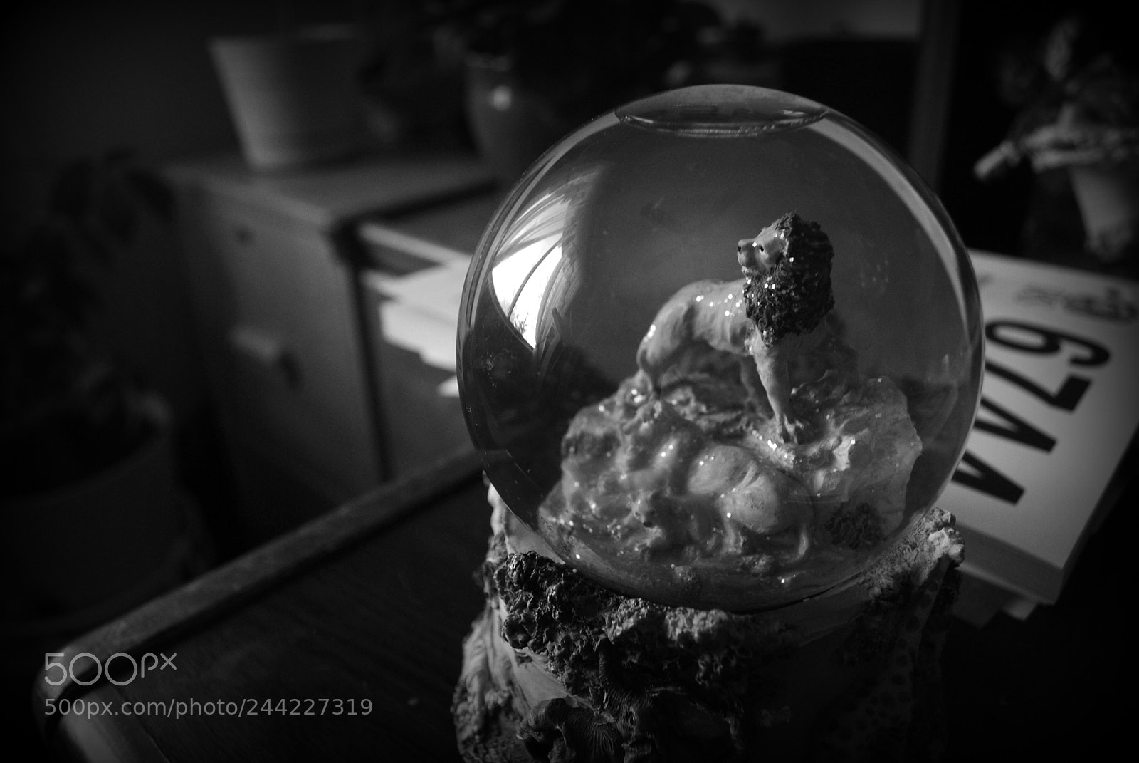 Nikon D3000 sample photo. Lion snow globe photography