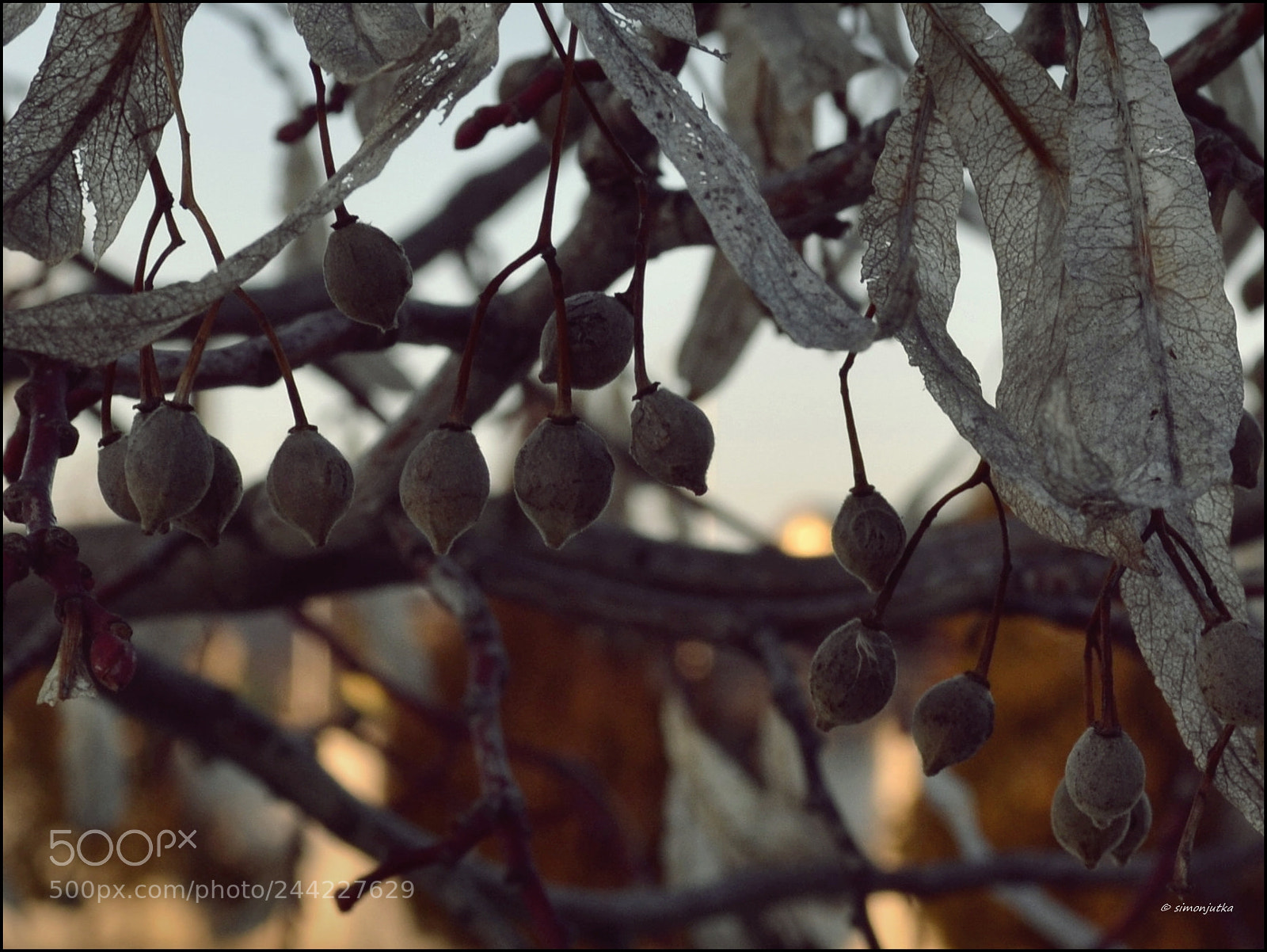 Nikon D3100 sample photo. Today's mood photography