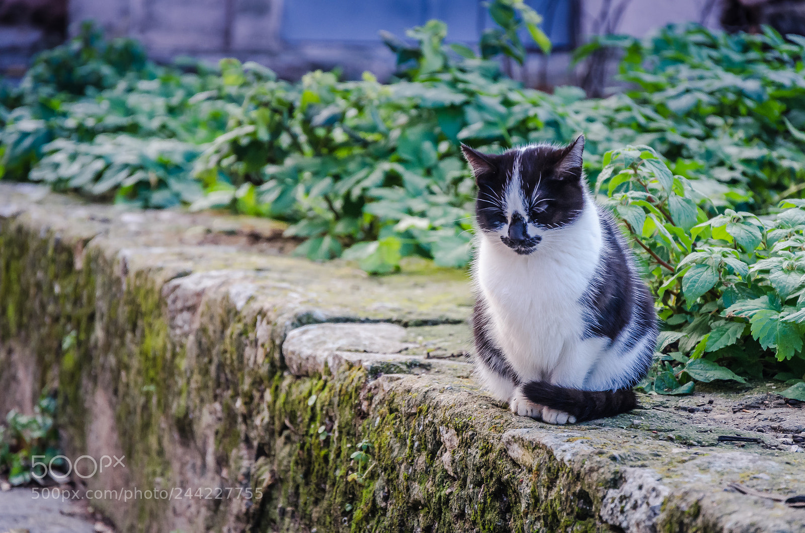 Nikon D5100 sample photo. Ronda photography