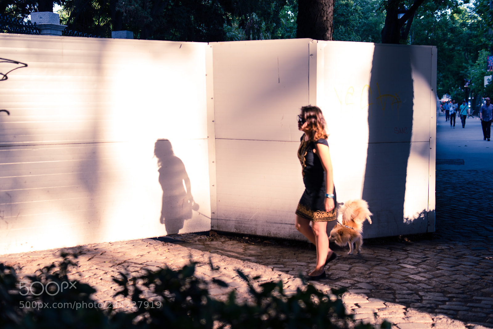Sony a7R sample photo. Sombras #2 photography