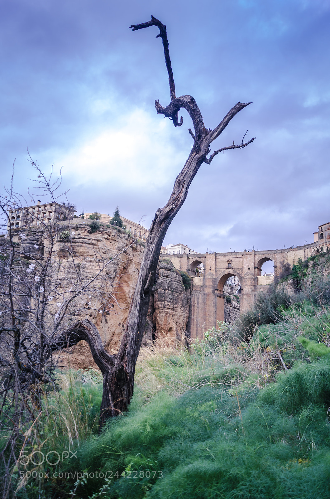 Nikon D5100 sample photo. Ronda photography