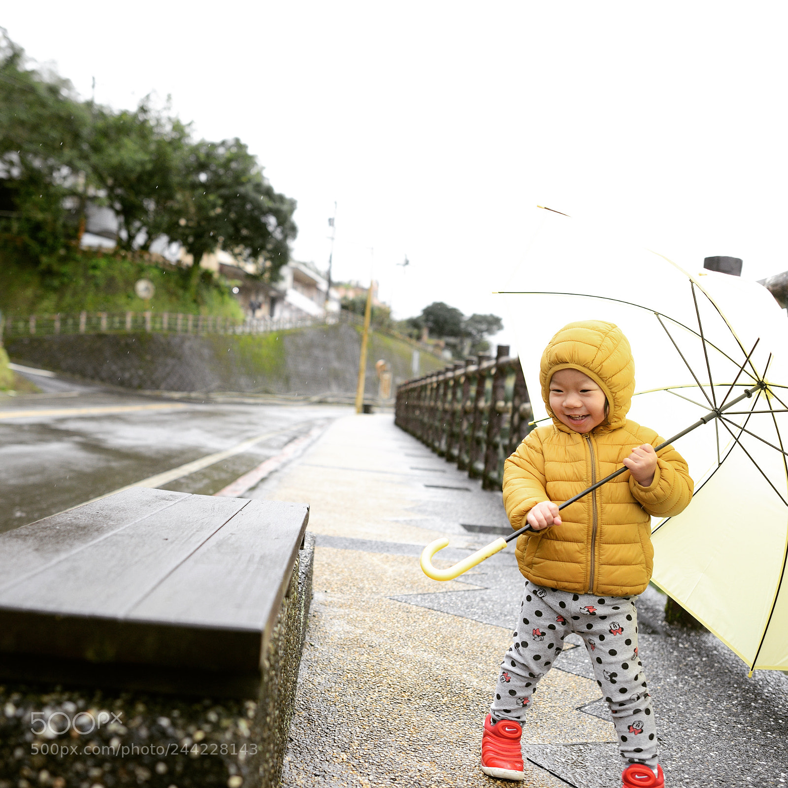 Nikon D800 sample photo. Untitled photography