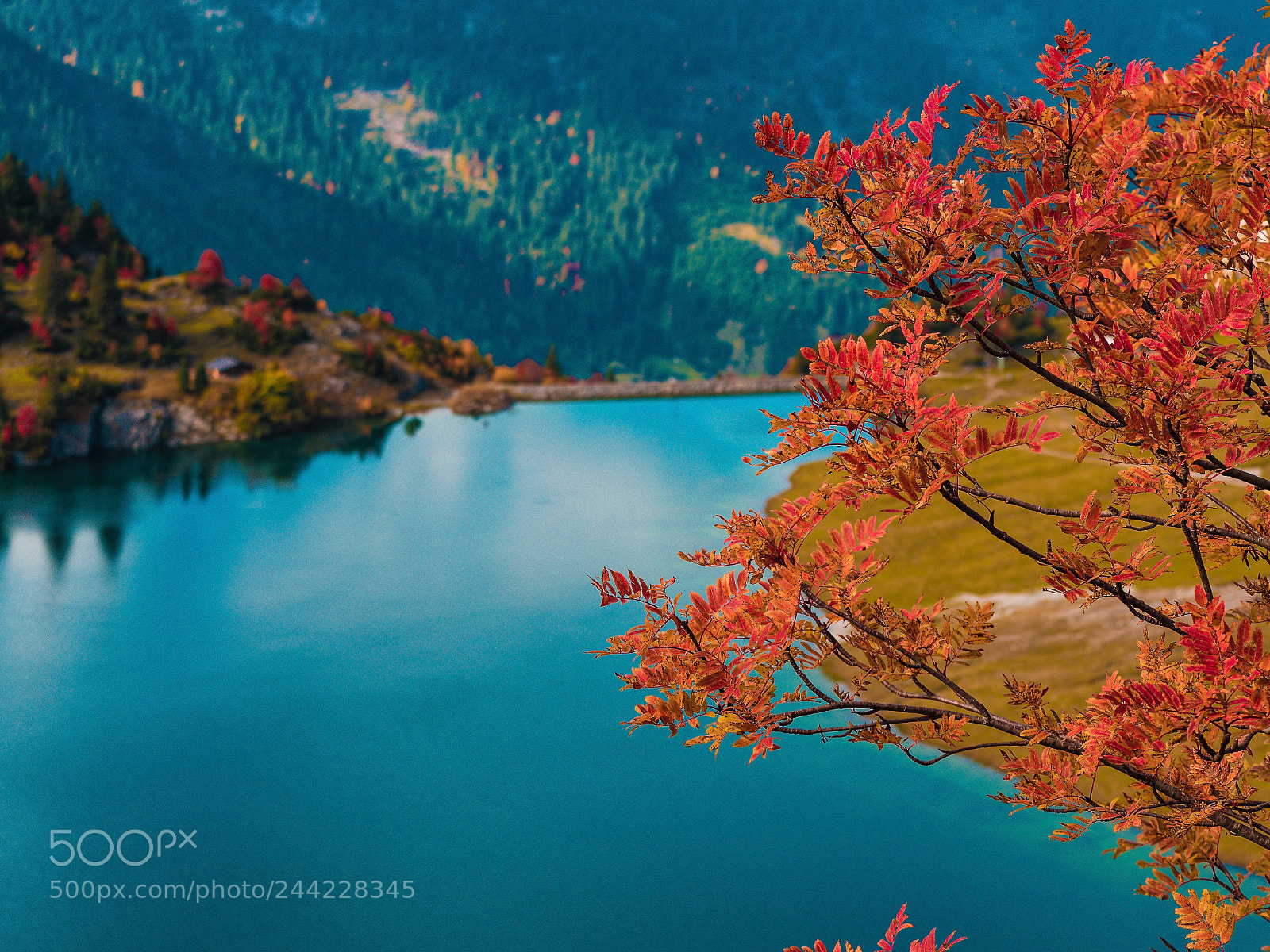 Olympus OM-D E-M5 II sample photo. Traualpsee photography