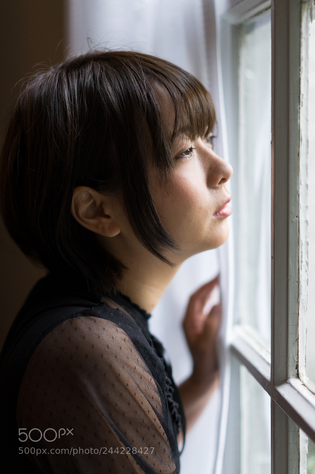 Sony a7 II sample photo. Ruru photography