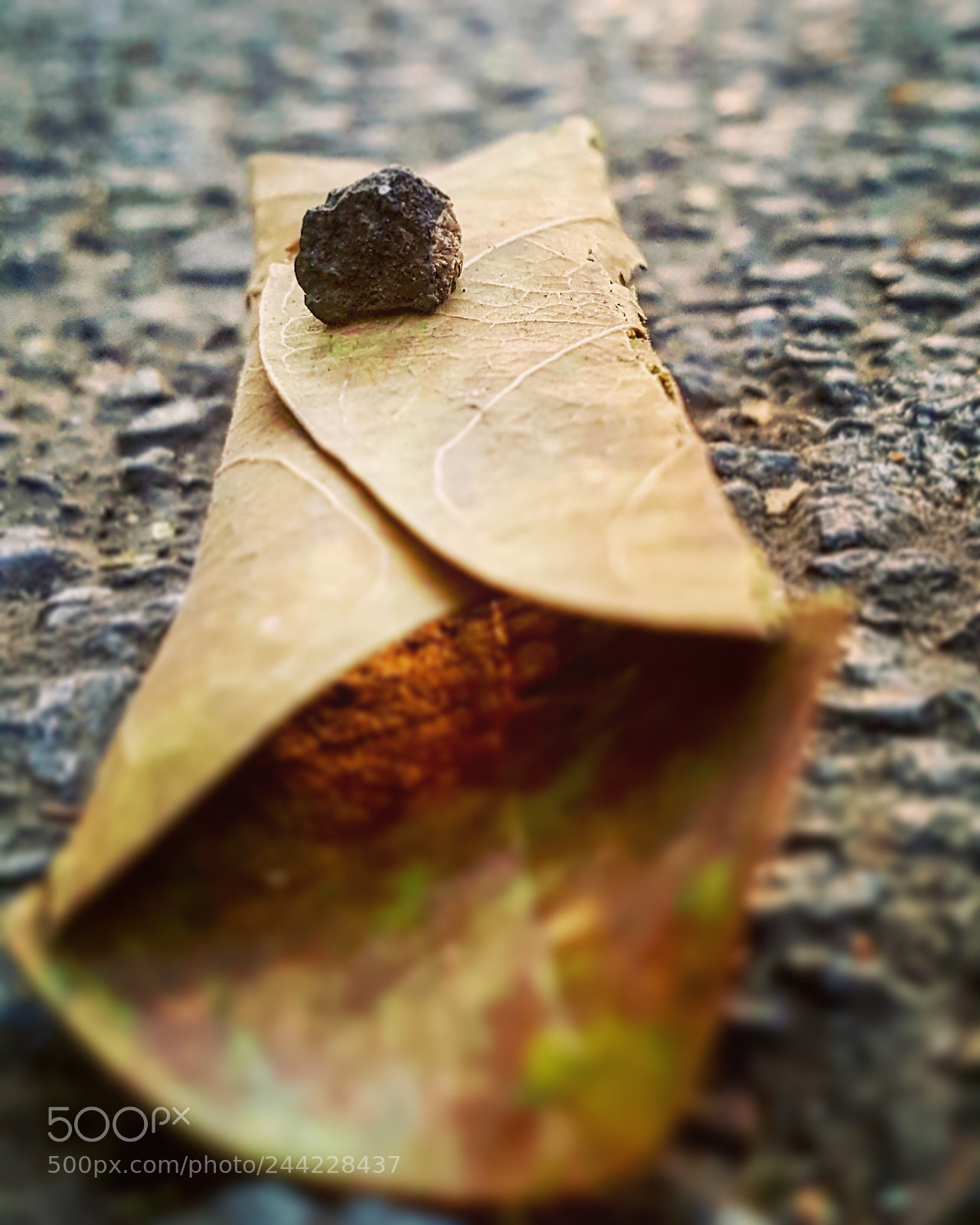 Samsung GALAXY S6 edge sample photo. Shotonsamsungs6edge iphoneedits  photography