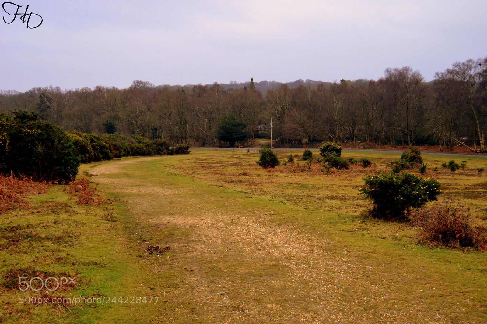 Nikon D3200 sample photo. Path to somewhere photography
