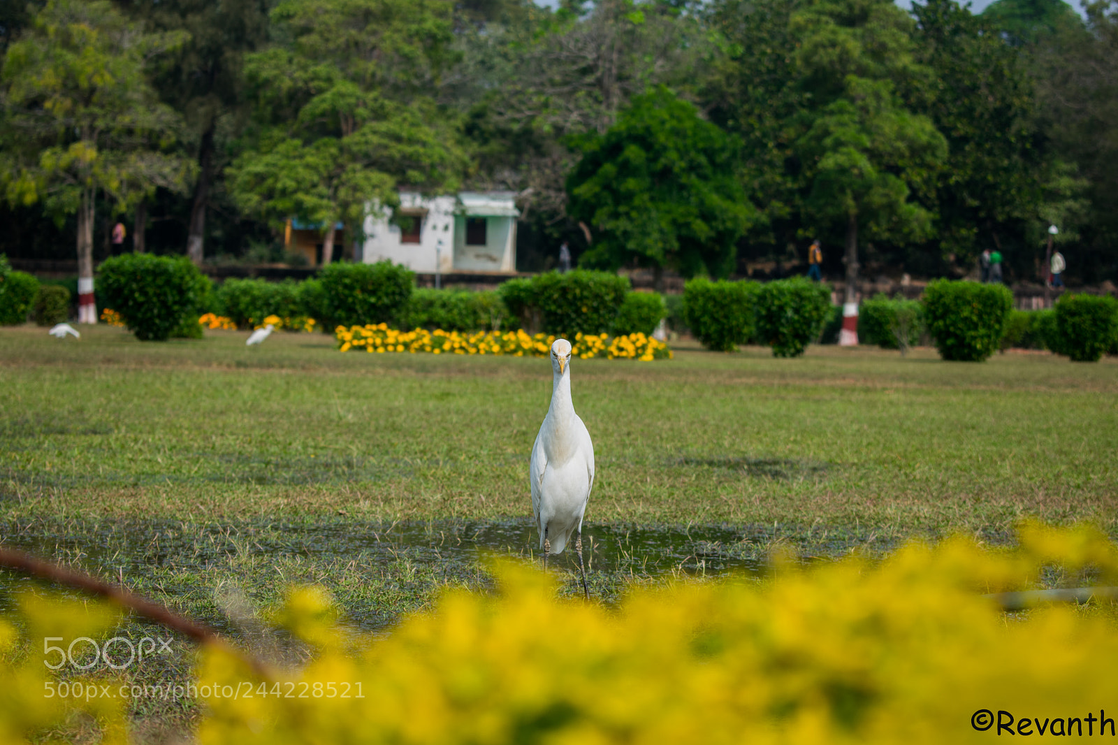 Nikon D3400 sample photo. Untitled photography