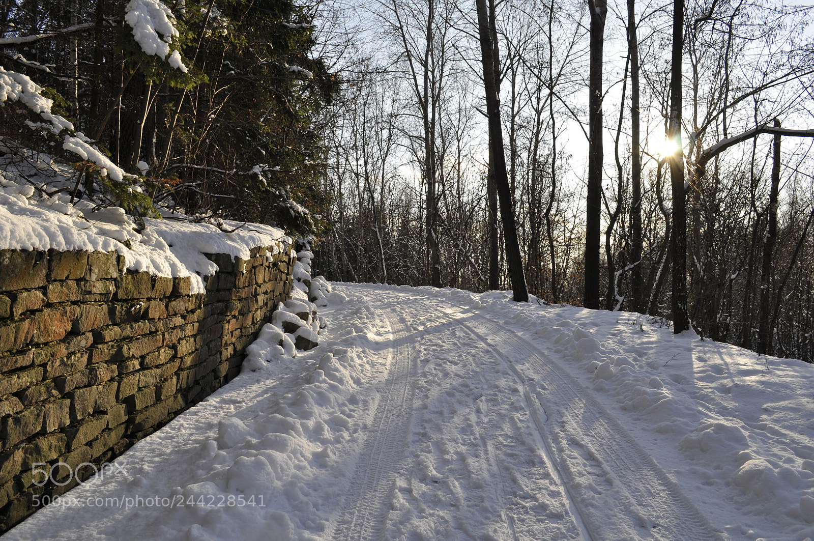 Nikon D5000 sample photo. Snowy road photography