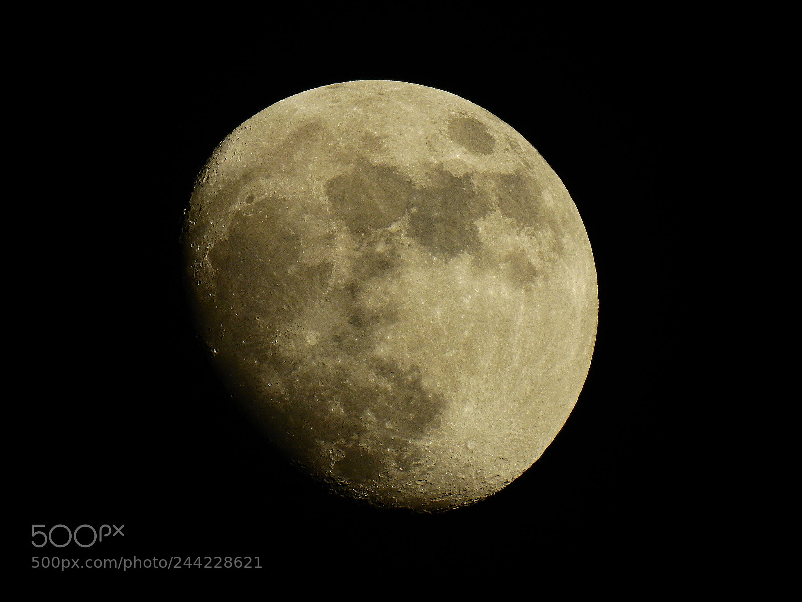 Nikon Coolpix P900 sample photo. Lune photography