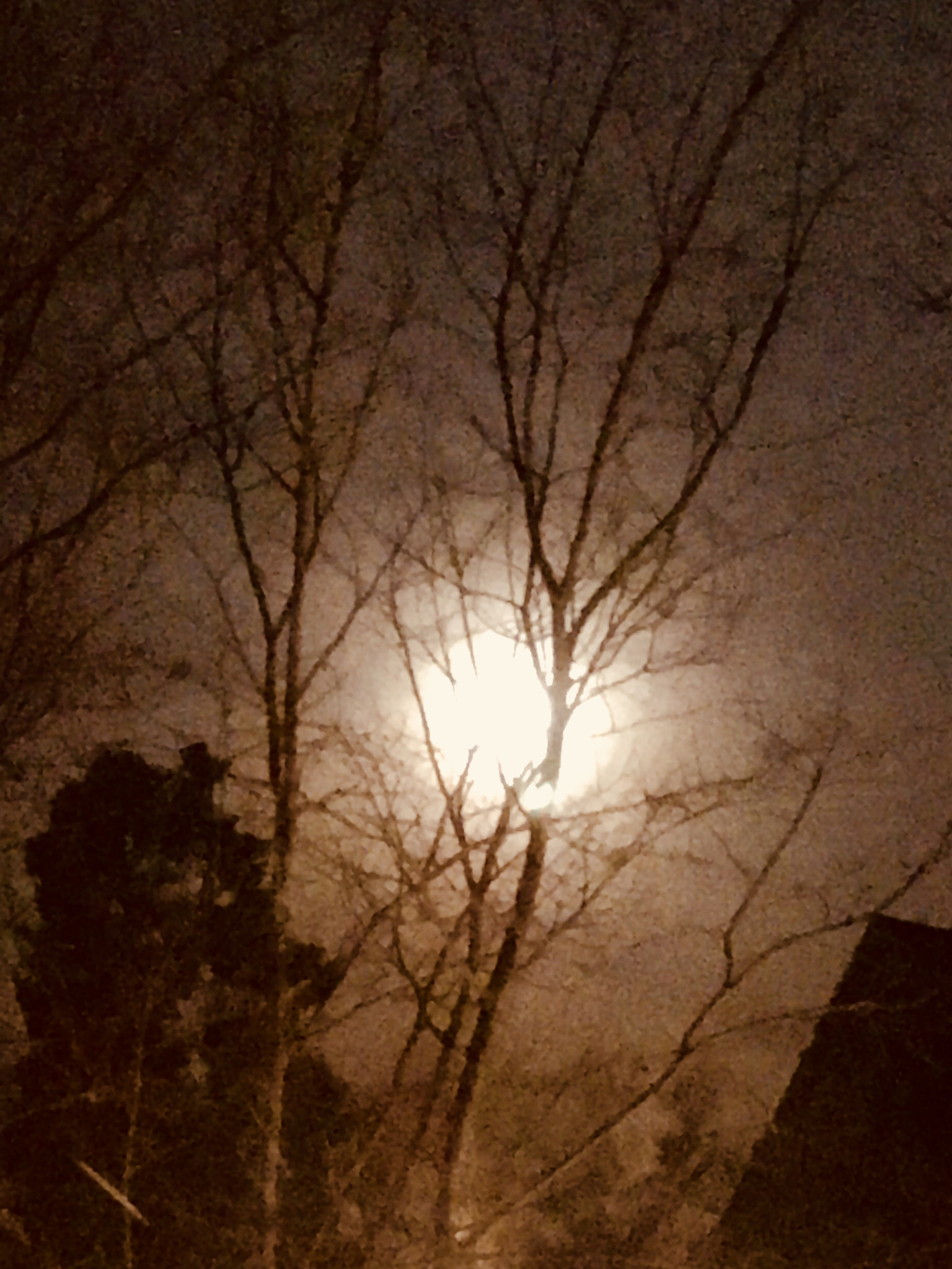 Apple iPad Pro (10.5-inch) sample photo. Halloween twilight photography