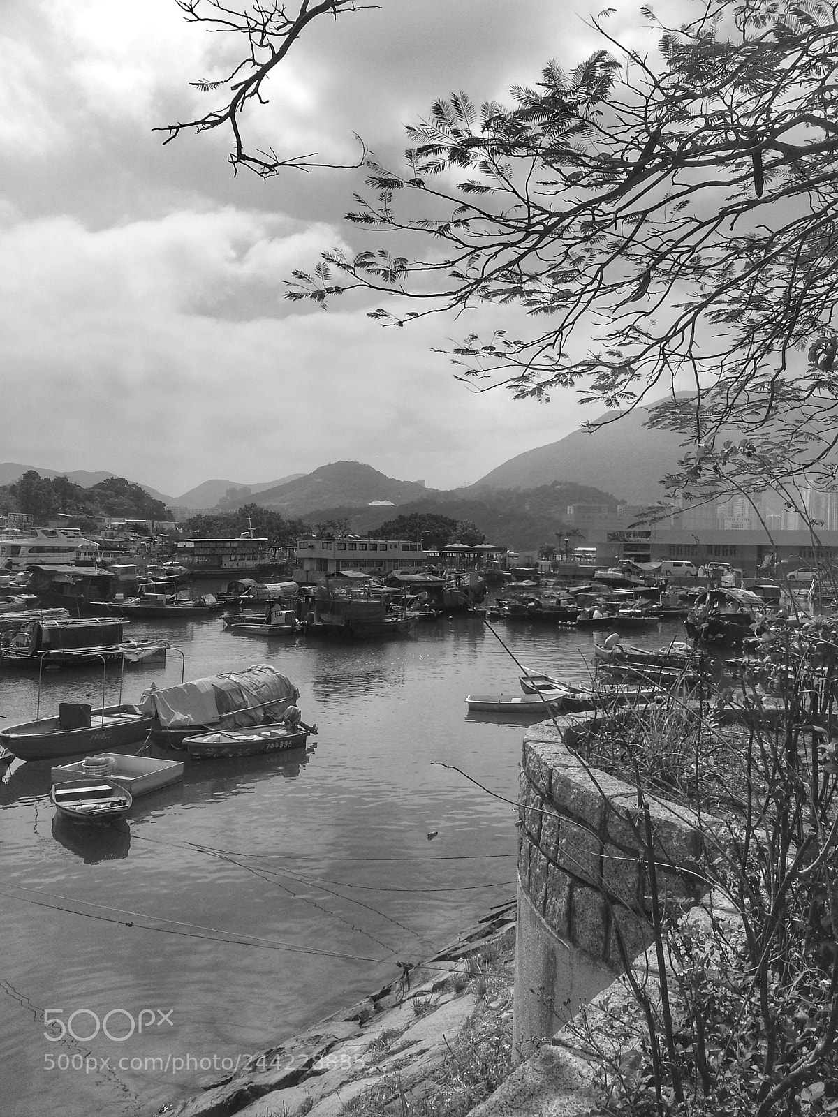 Samsung Galaxy Note2 sample photo. Black and white photography
