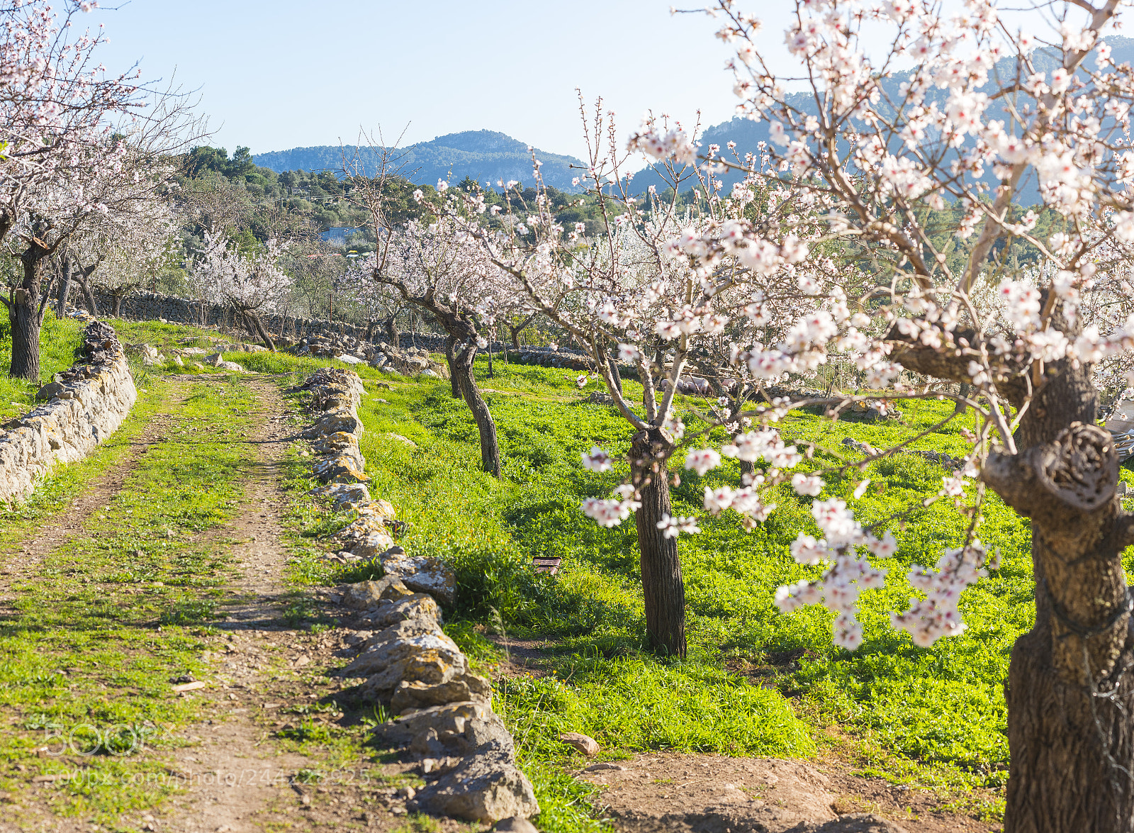 Nikon D810 sample photo. Beautiful rural mountain scene photography