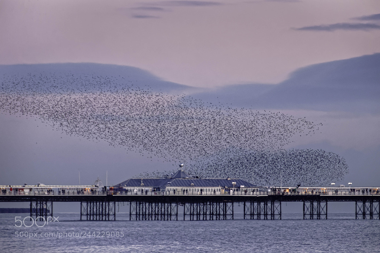 Canon EOS 77D (EOS 9000D / EOS 770D) sample photo. Brighton, east sussex uk photography