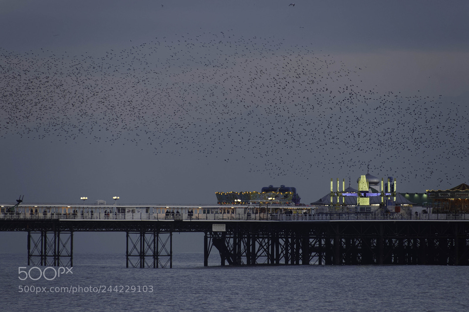 Canon EOS 77D (EOS 9000D / EOS 770D) sample photo. Brighton, east sussex uk photography