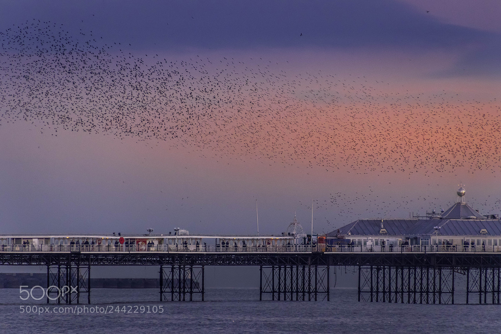 Canon EOS 77D (EOS 9000D / EOS 770D) sample photo. Brighton, east sussex uk photography