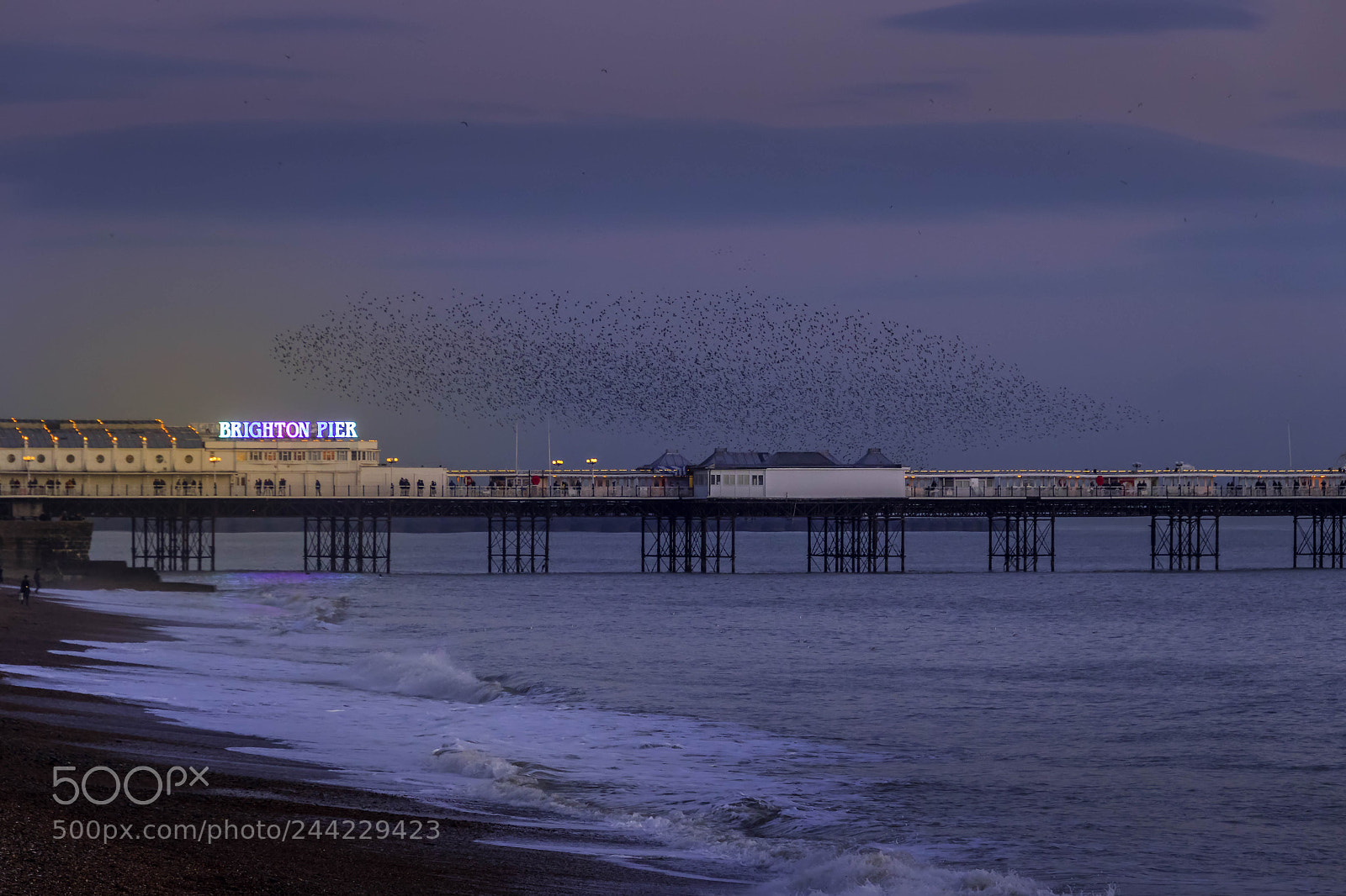 Canon EOS 77D (EOS 9000D / EOS 770D) sample photo. Brighton, east sussex uk photography
