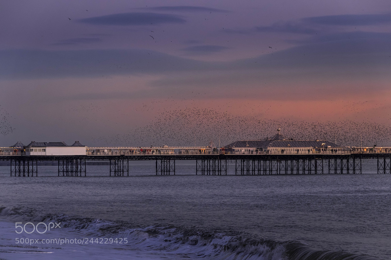 Canon EOS 77D (EOS 9000D / EOS 770D) sample photo. Brighton, east sussex uk photography