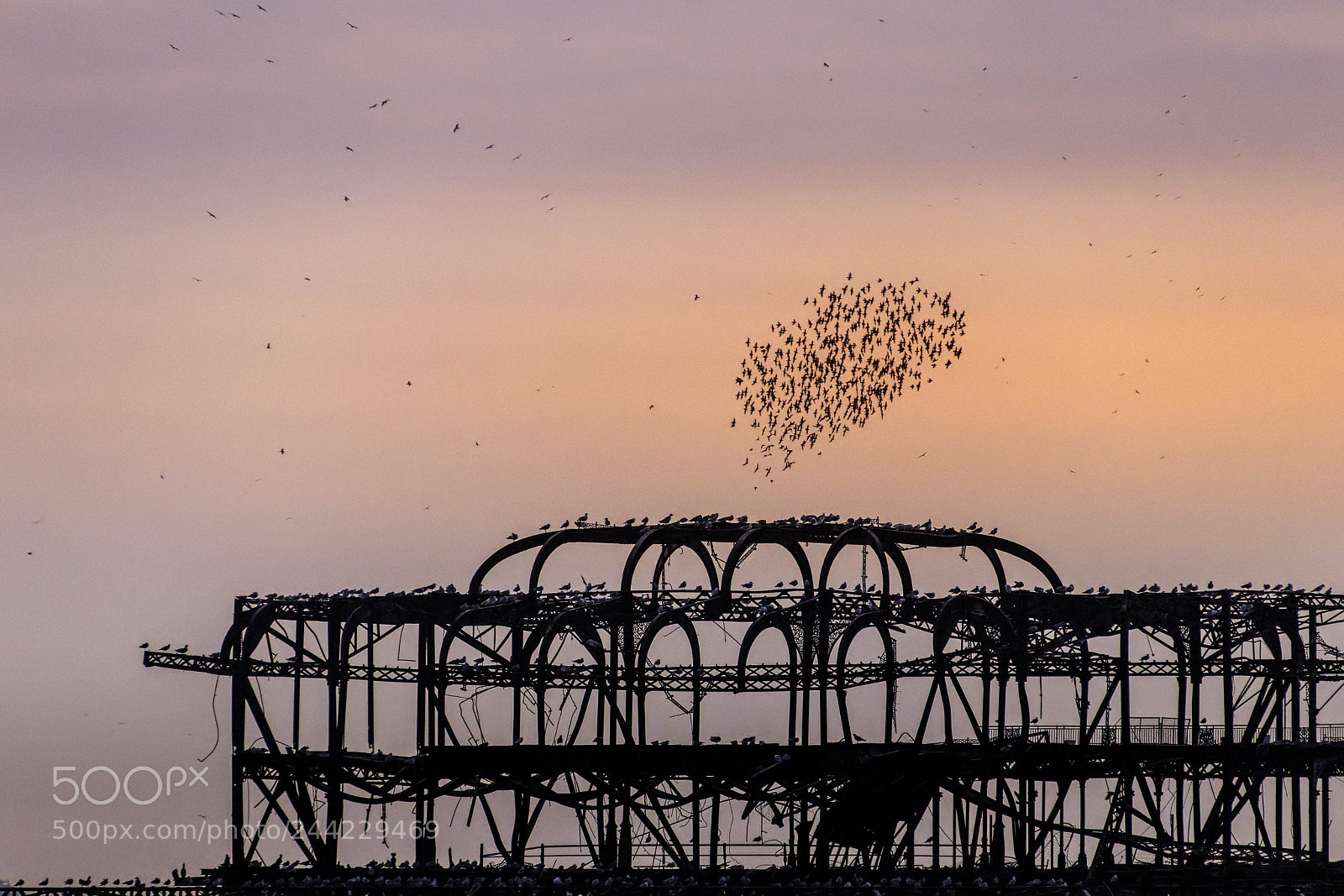 Canon EOS 77D (EOS 9000D / EOS 770D) sample photo. Brighton, east sussex uk photography