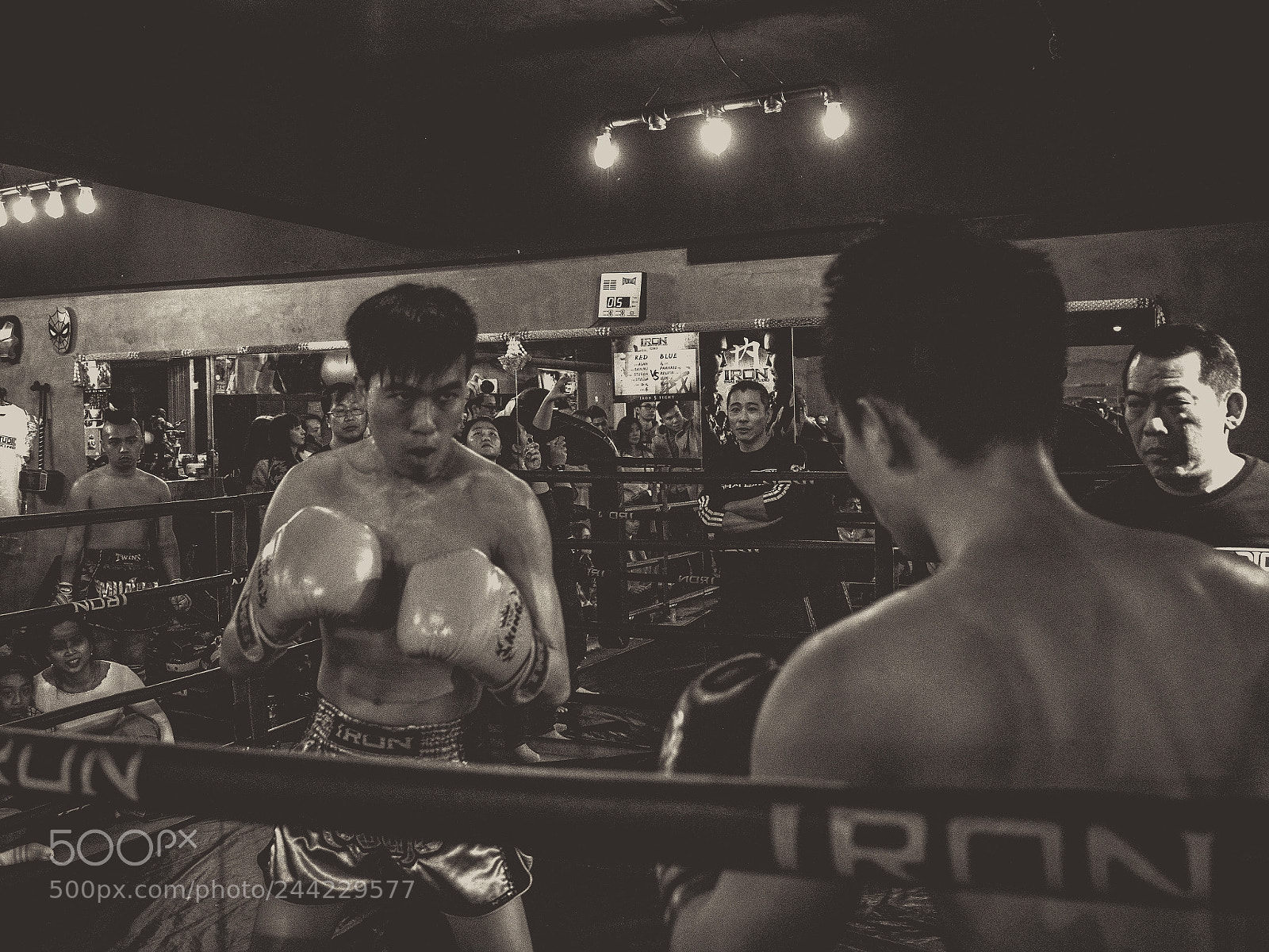 Olympus OM-D E-M5 II sample photo. Fighting photography