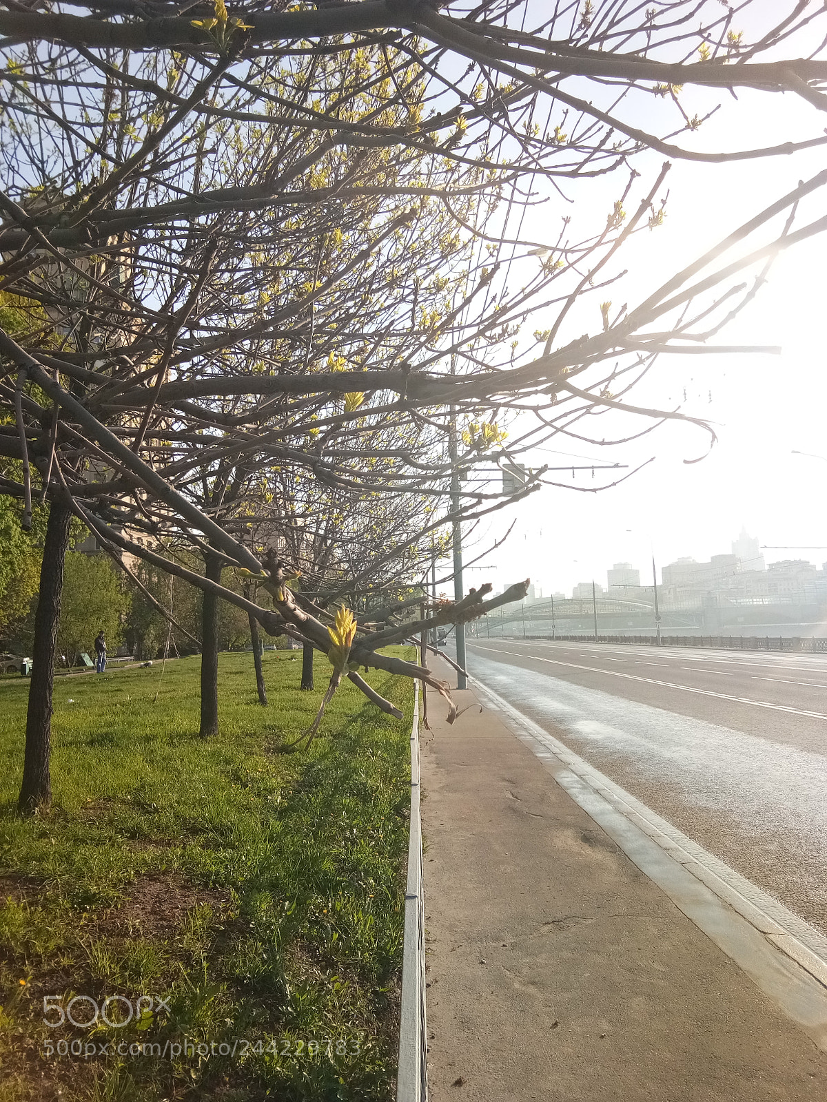 vivo 1601 sample photo. Dichotomy photography