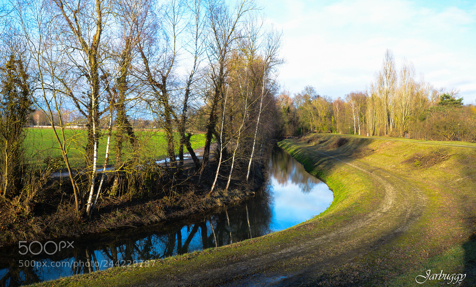 Nikon D7100 sample photo. Passing by photography