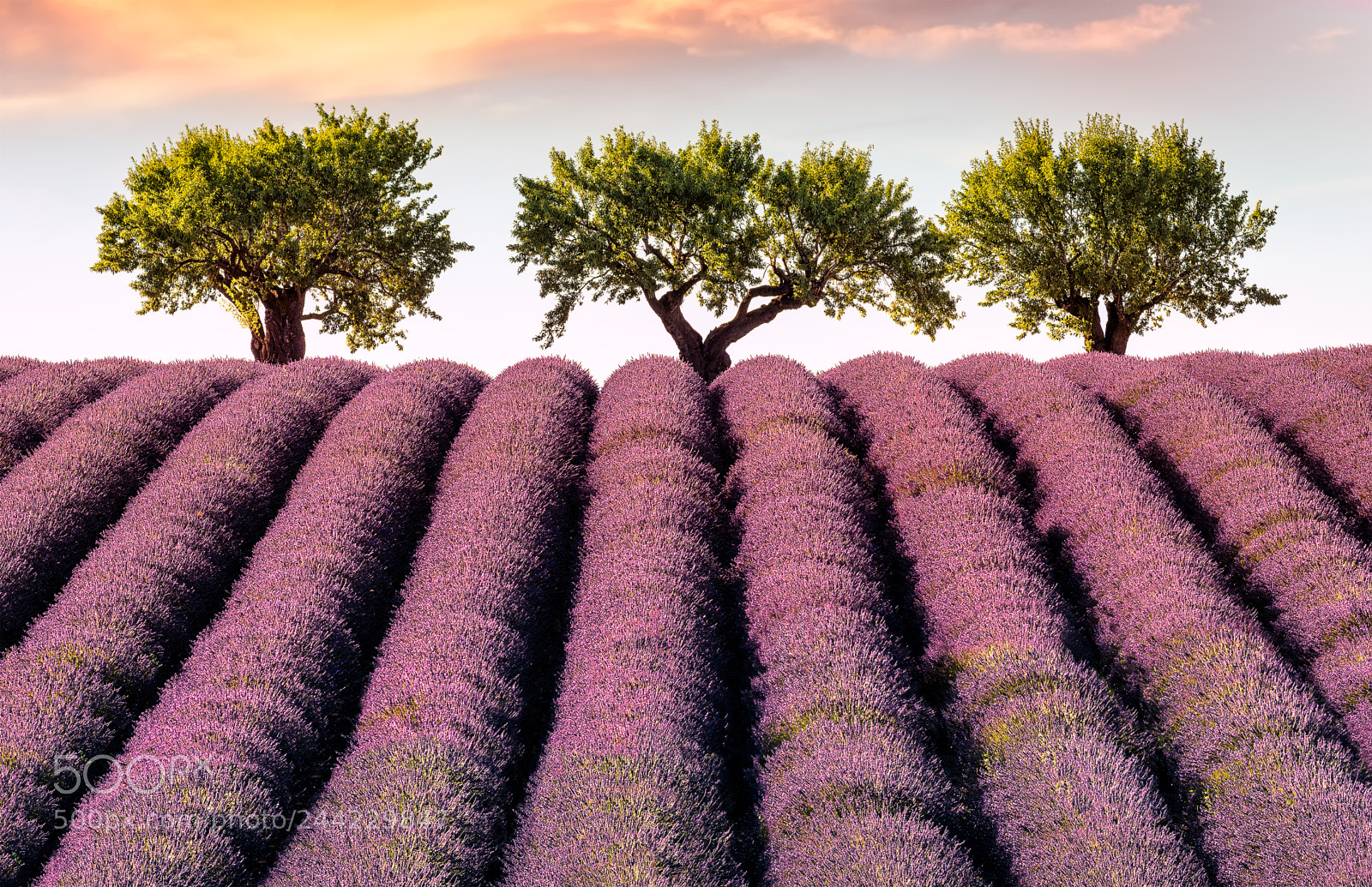 Nikon D7100 sample photo. Sunset in provence photography