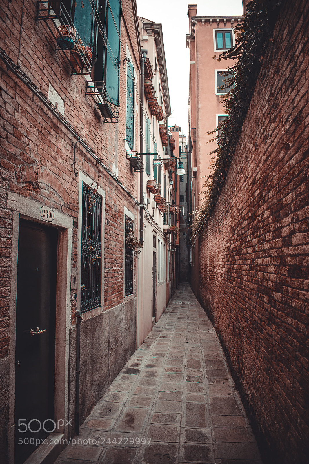 Nikon D5500 sample photo. Cute little street in photography