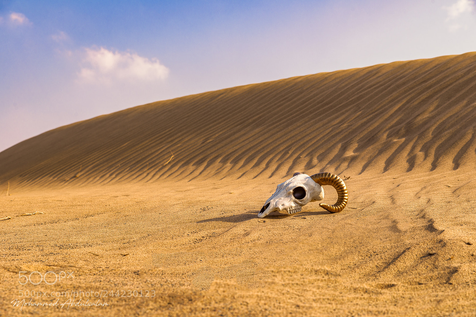 Nikon D610 sample photo. Desert photography