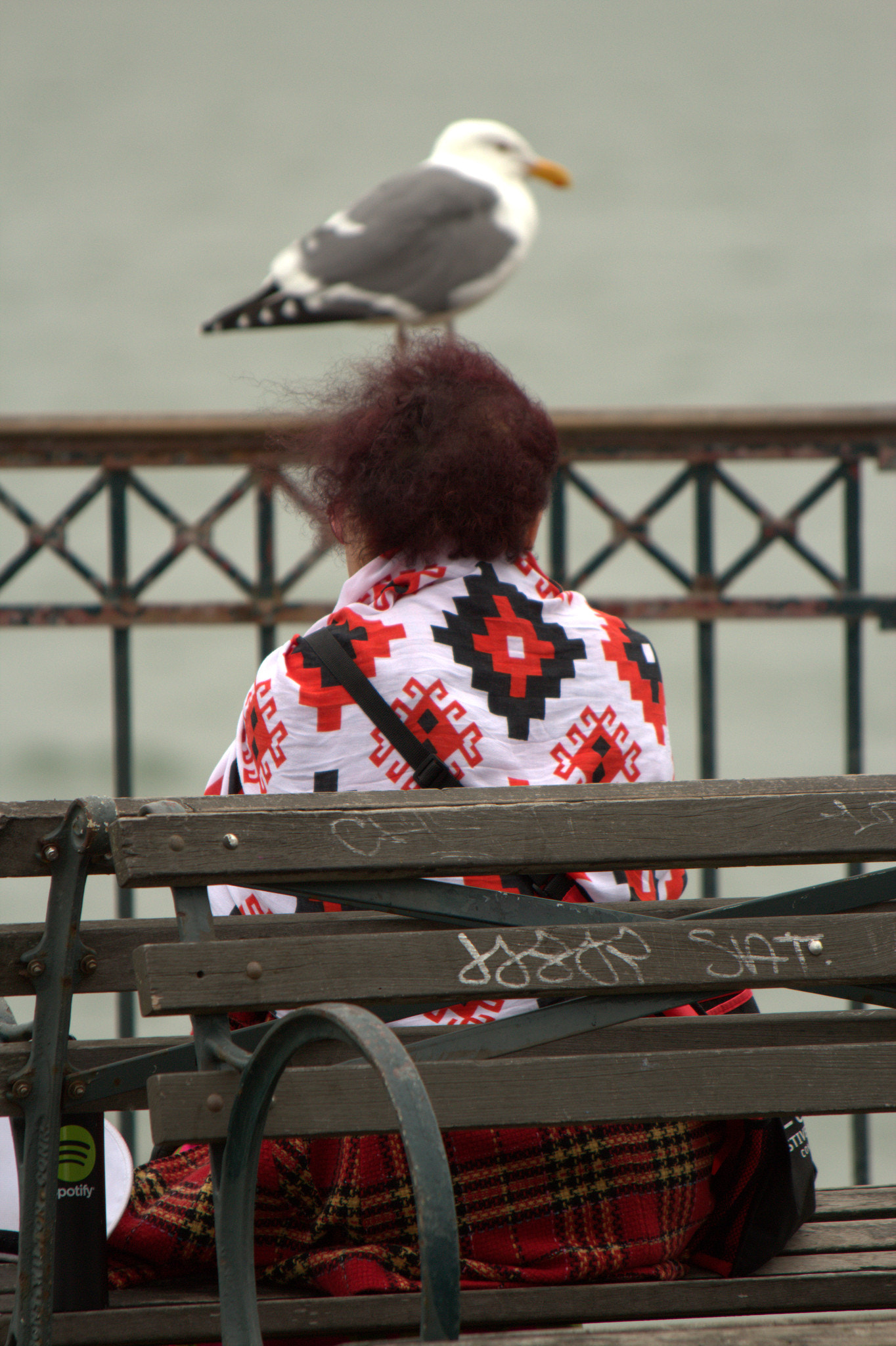 Canon EF 70-300mm F4-5.6 IS USM sample photo. No worry photography