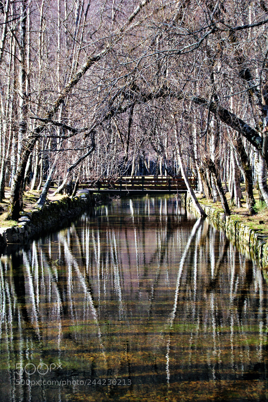 Canon EOS 60D sample photo. Winter park photography