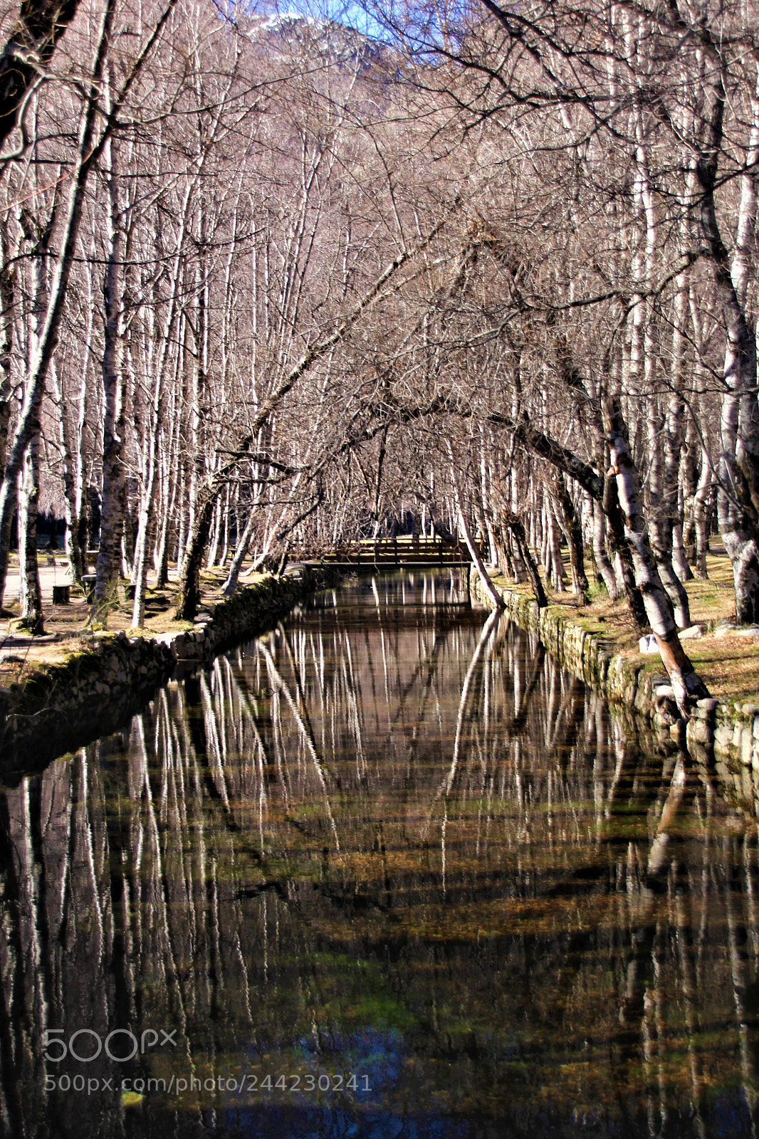 Canon EOS 60D sample photo. Winter park photography