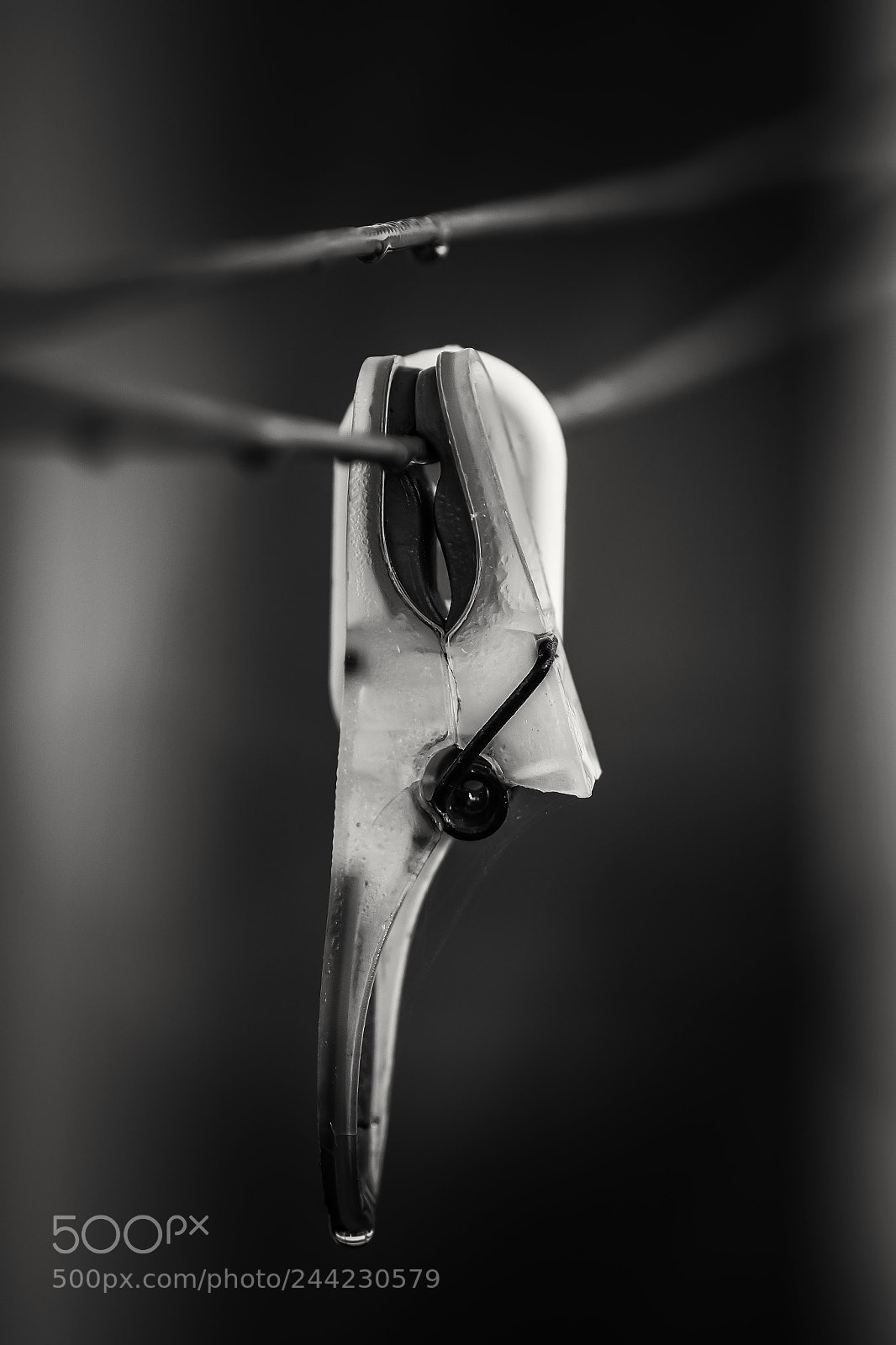 Pentax K-S2 sample photo. Unijambiste photography