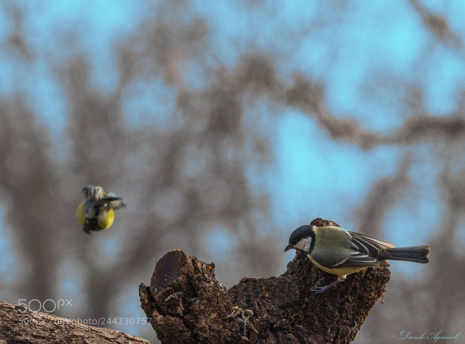 Canon EOS 7D Mark II sample photo. L'allontanamento,sai quello che lasci photography