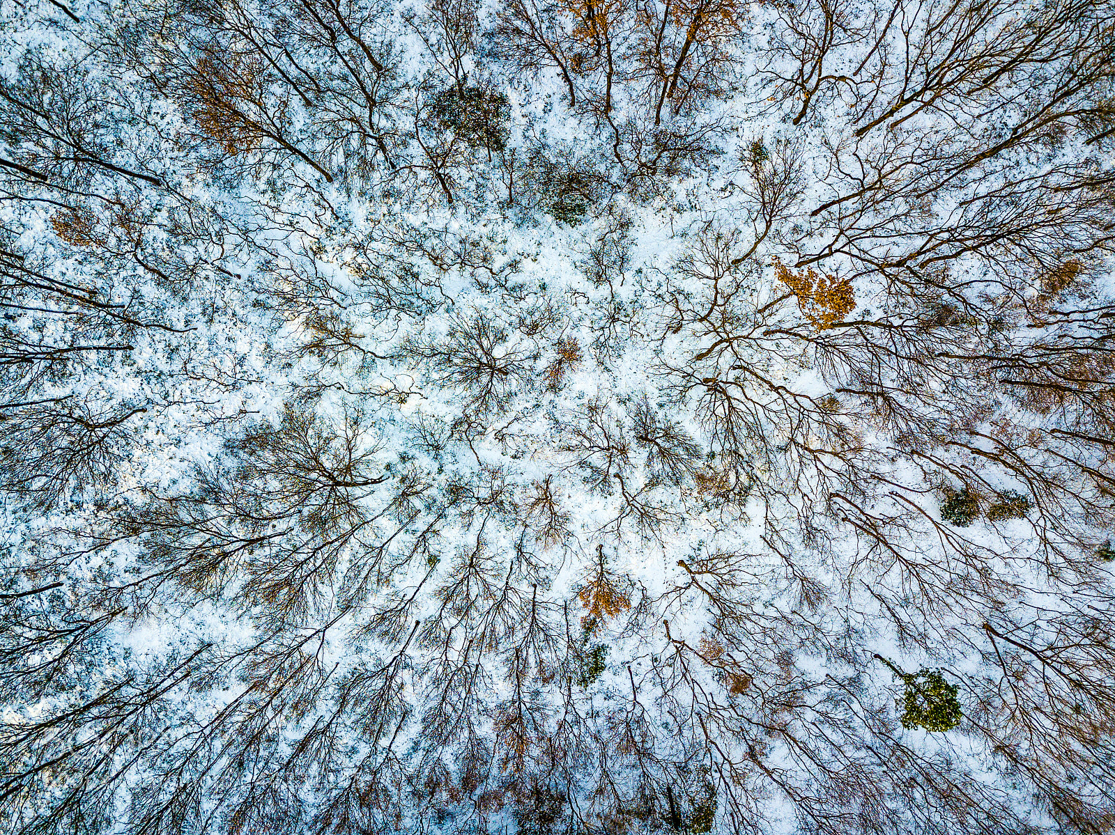 DJI FC220 sample photo. Winter mystery photography