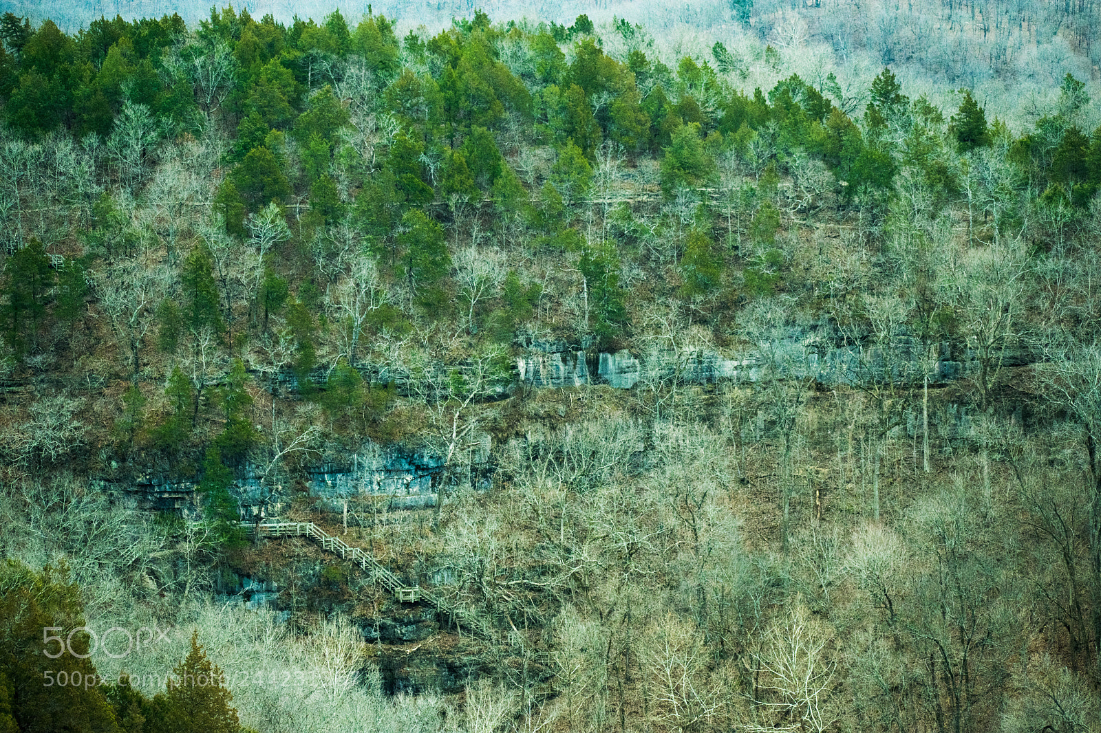 Nikon D3400 sample photo. Mark twain national forest photography
