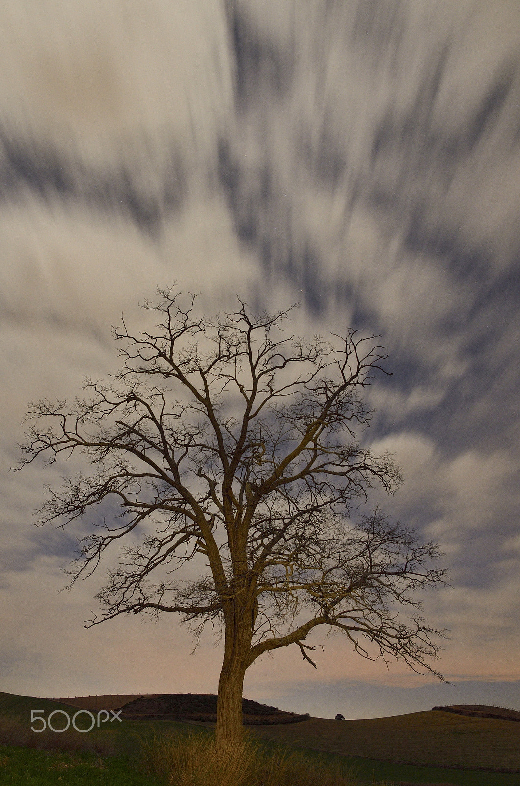 Sigma 17-50mm F2.8 EX DC OS HSM sample photo. Árbol y nubes photography
