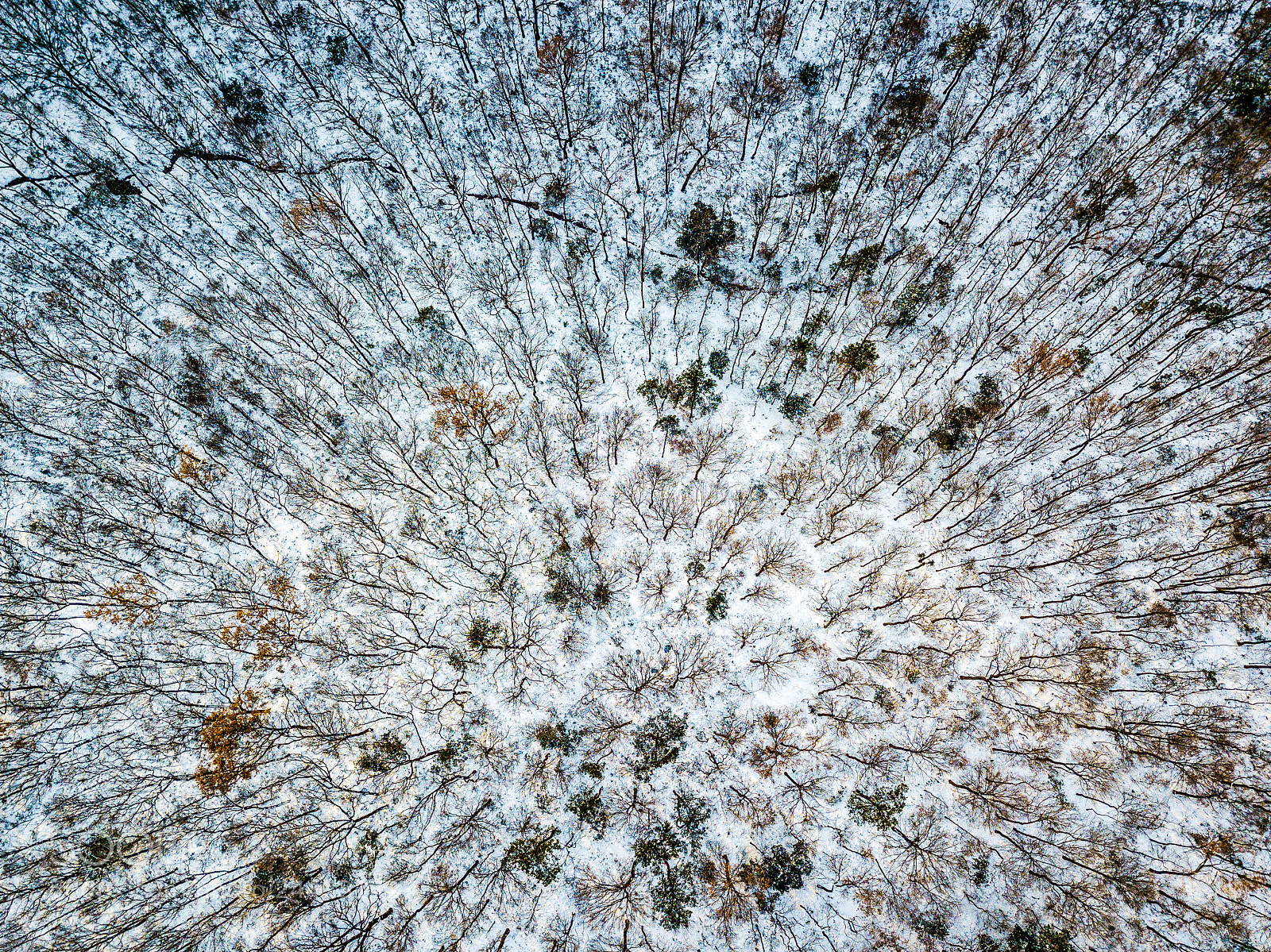 DJI FC220 sample photo. Thousands of arrows all photography