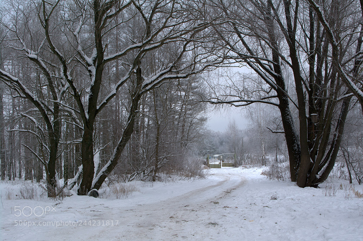 Pentax K-7 sample photo. Winter in moscow. photography