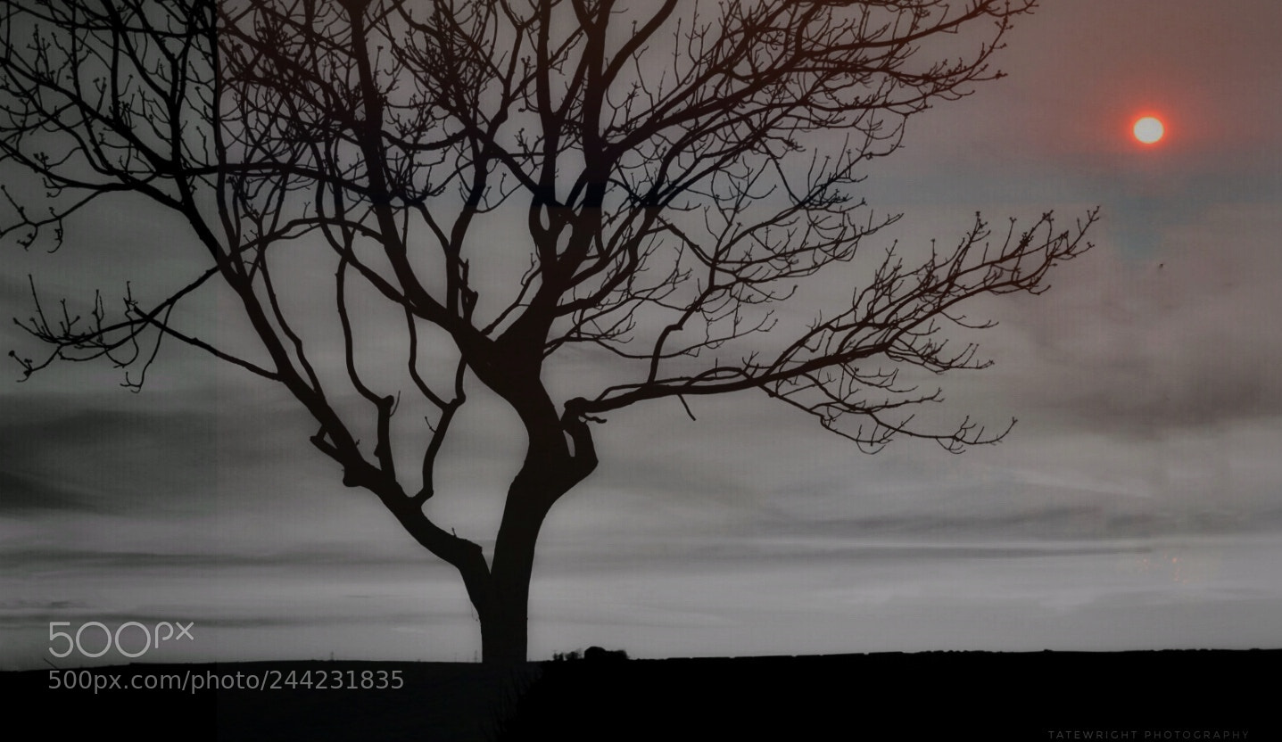 Nikon D3200 sample photo. Untitled photography