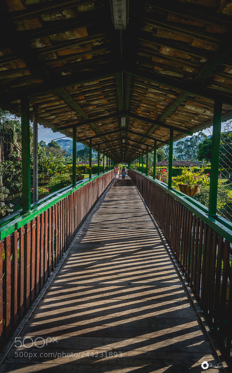 Nikon D3100 sample photo. Equilibrio photography