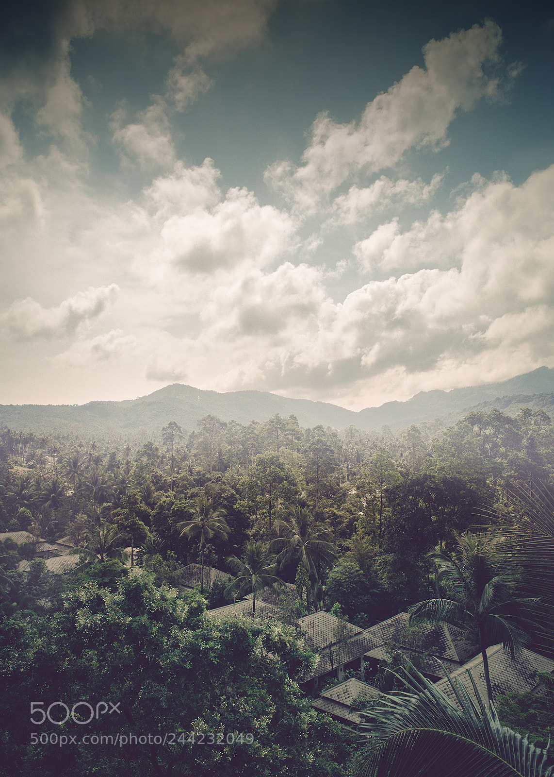 Nikon D810 sample photo. Silent wild photography