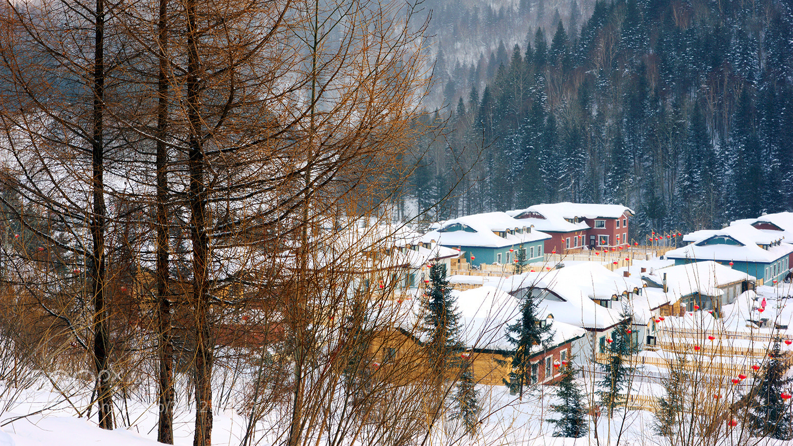 Nikon D800E sample photo. 雪乡人家 photography