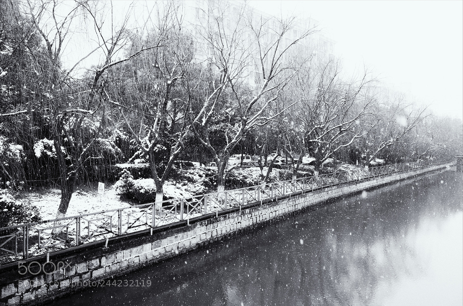 Ricoh GR sample photo. 雪 photography