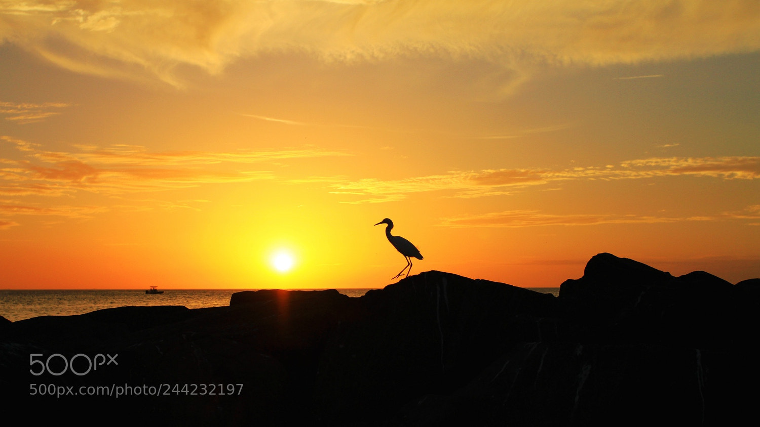 Canon EOS 7D + Canon EF 17-40mm F4L USM sample photo. Sunset at st. pete photography