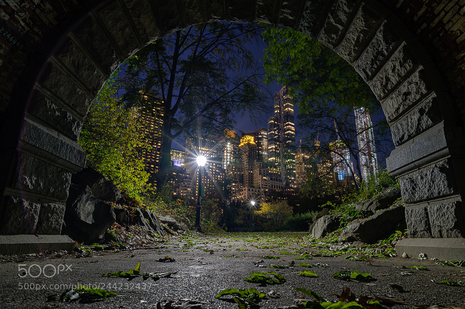 Nikon D850 sample photo. Inscope arch photography