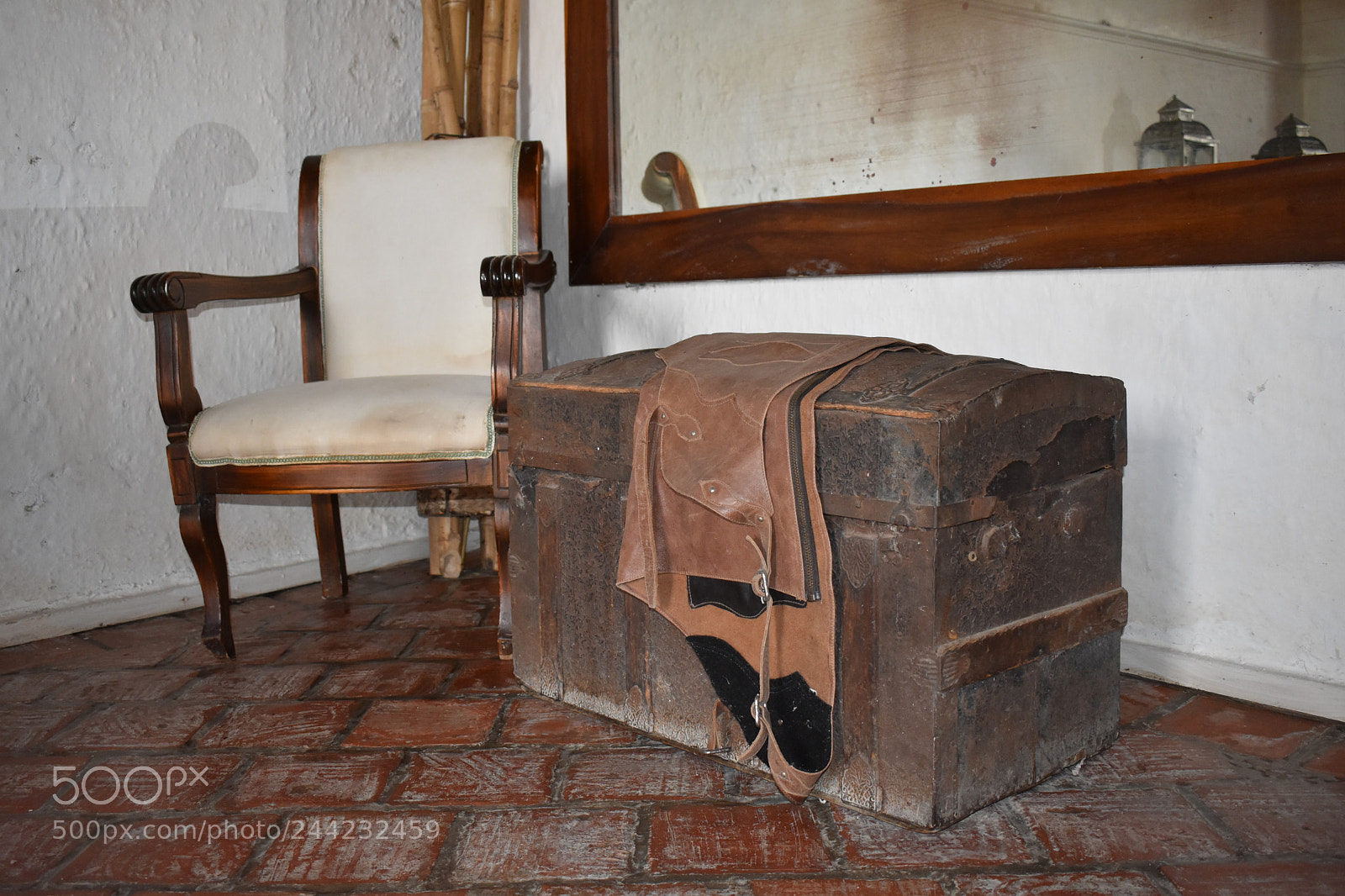 Nikon D3400 sample photo. BaÚl. photography