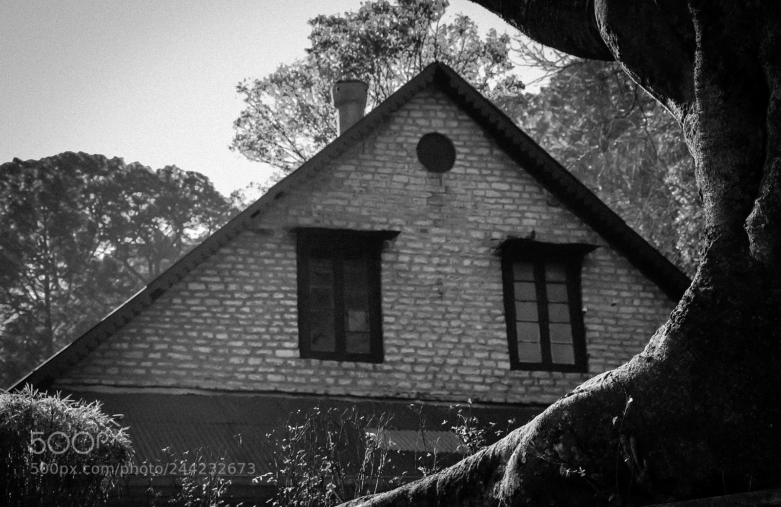 Canon EOS 1200D (EOS Rebel T5 / EOS Kiss X70 / EOS Hi) sample photo. Framed house photography